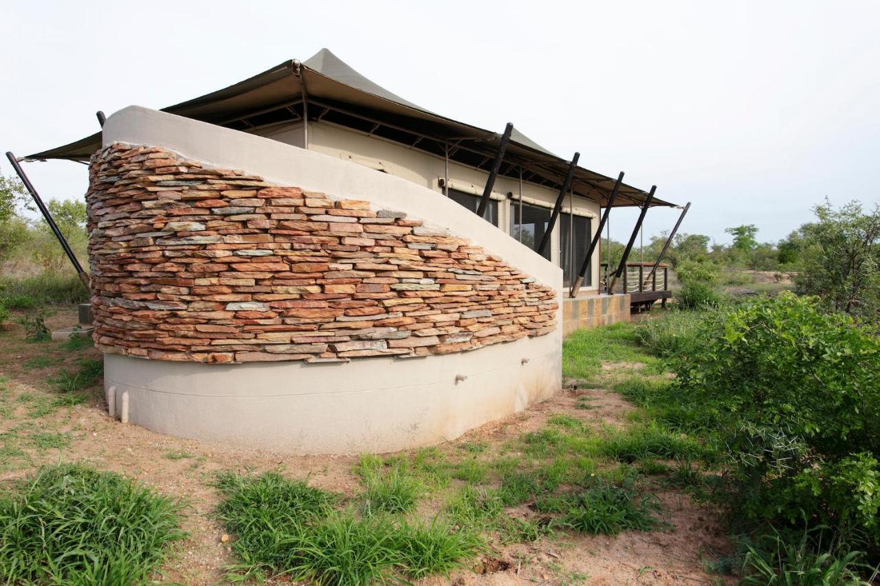 Thabamati Luxury Tented Camp Timbavati Game Reserve Ngoại thất bức ảnh