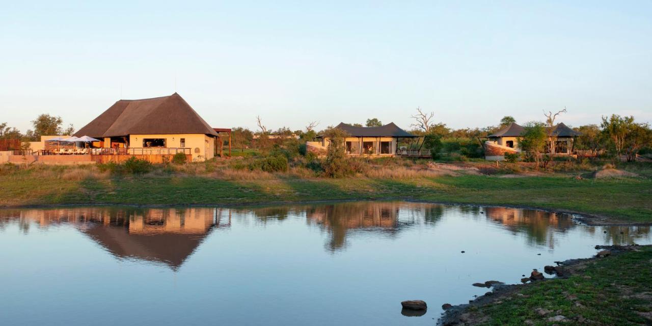 Thabamati Luxury Tented Camp Timbavati Game Reserve Ngoại thất bức ảnh